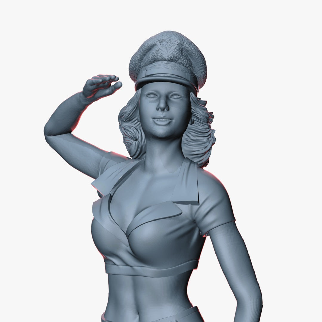 Pin Up Girl USAF #1