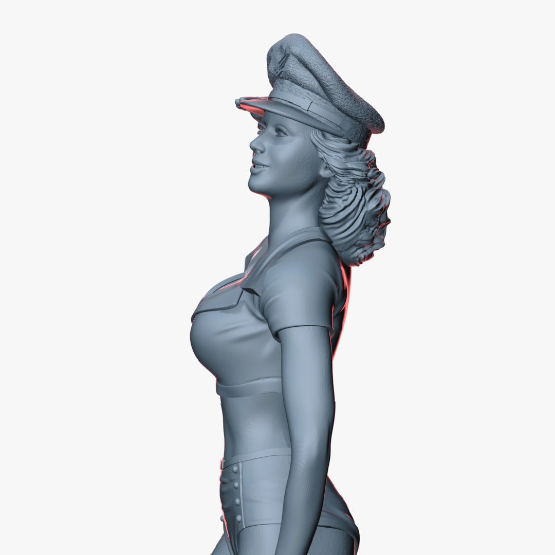 Pin Up Girl USAF #1