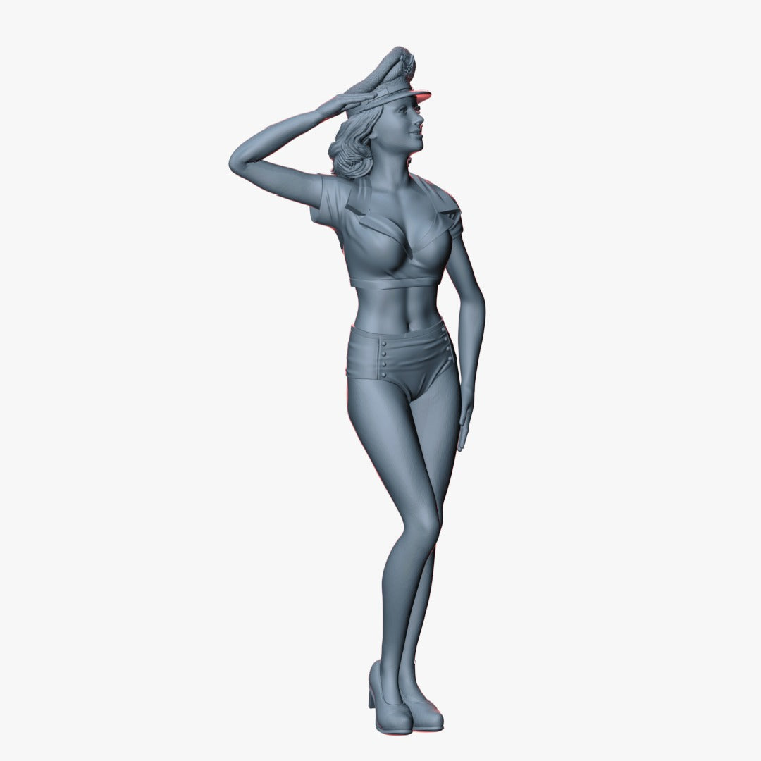 Pin Up Girl USAF #1