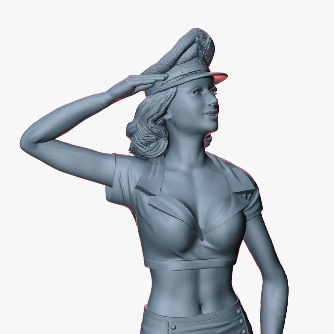 Pin Up Girl USAF #1